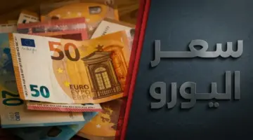شاهد: اليورو يقفز 63 جنيهاً… بنك واحد يعلن سعر شراء الأسطوري الذي خفي عن المصريين!